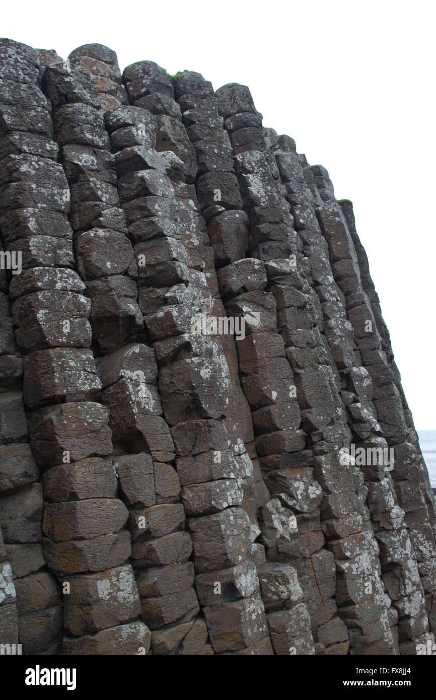 Vista di incastro colonne di basalto sulla Giant's Causeway formata come risultato dell'attività vulcanica nella contea di Antrim Foto Stock
