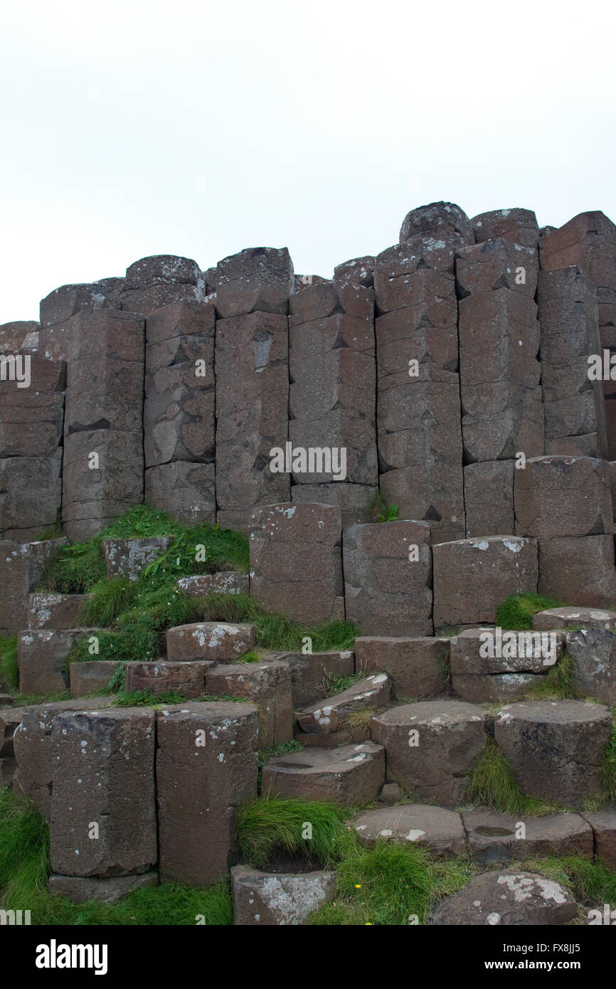 Vista di incastro colonne di basalto sulla Giant's Causeway formata come risultato dell'attività vulcanica nella contea di Antrim Foto Stock