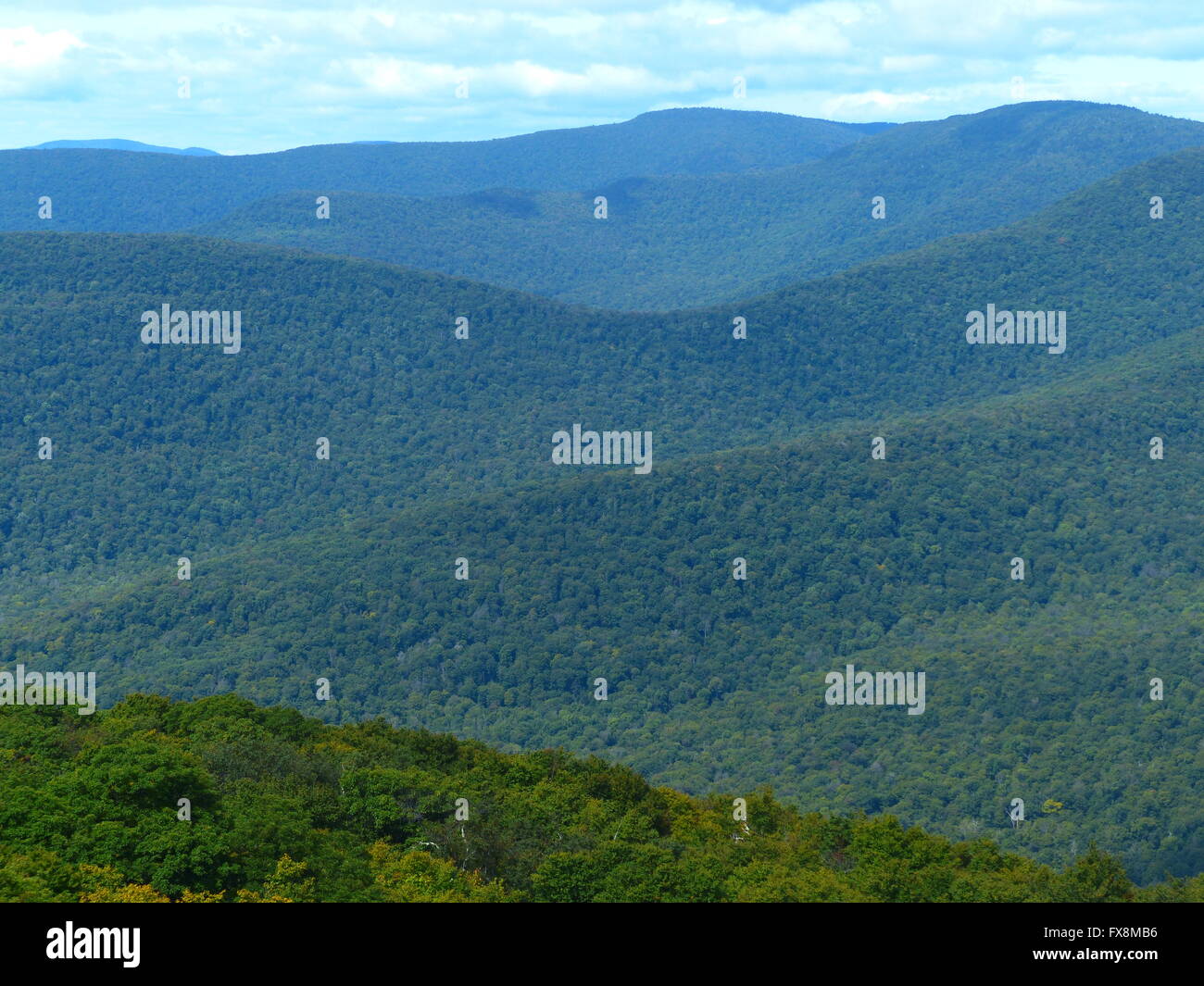 Catskill Mountains nel nordest degli Stati Uniti Foto Stock