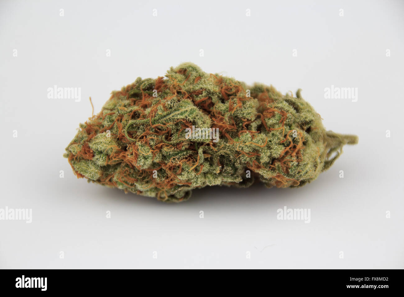 La marijuana medica bud isolati su sfondo bianco , la cannabis macro Foto Stock