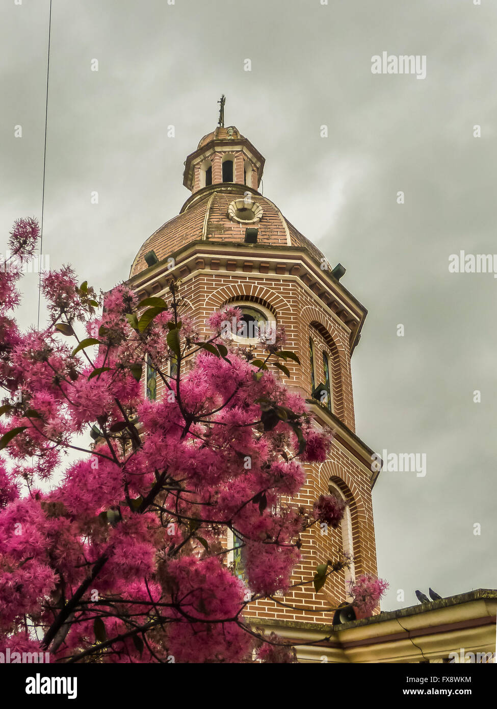 Basso angolo vista di San Luis chiesa principale della città di Quito in Ecuador, Sud America Foto Stock