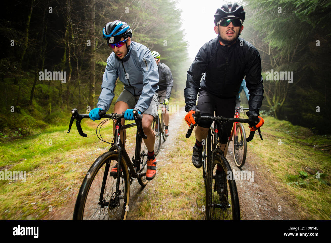 Un gruppo di amici in bicicletta assieme sulle colline e nei boschi intorno  a Machynlleth, Powys Wales UK Foto stock - Alamy