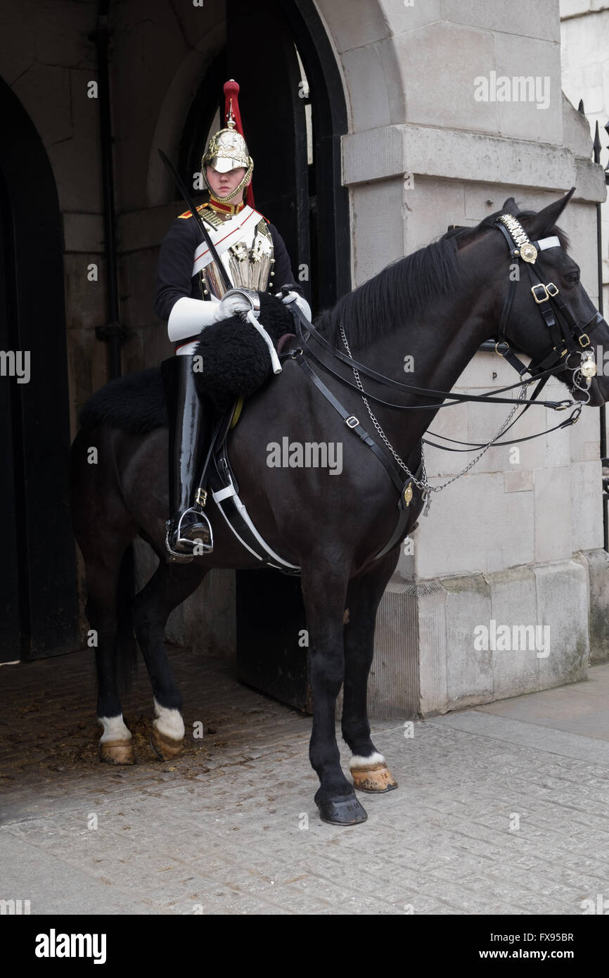 Soldato britannico del Blues e del reggimento di Royals montato a cavallo Foto Stock