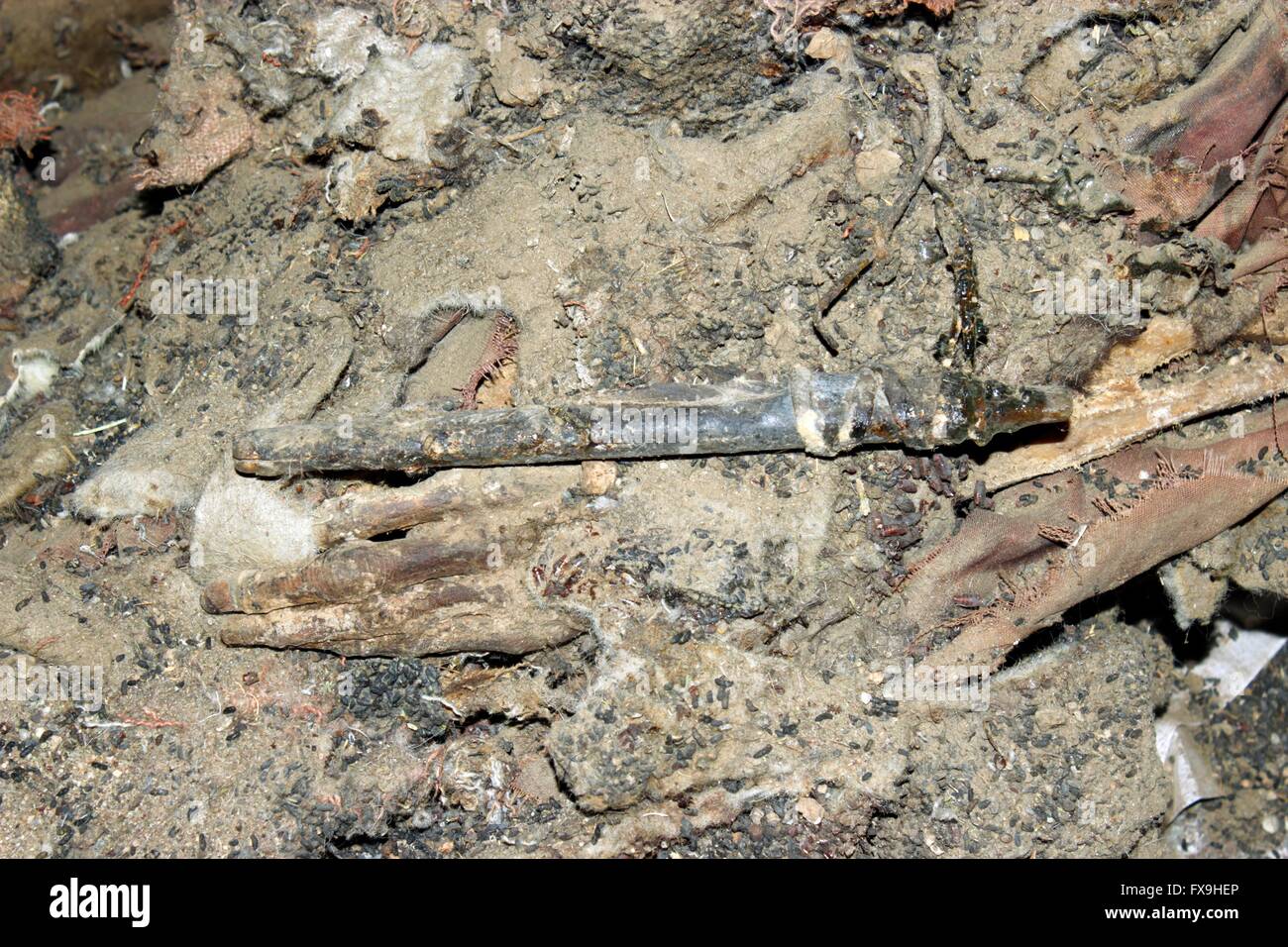 Khovd e Mongolia. Il 13 aprile 2016. Foto scattata il 5 aprile 2016 mostra le dita di un antico mummia scavata in Khovd e Mongolia. Il raro intatte antiche mummia è stata scavata da un grave in remoto della Mongolia occidentale provincia di Khovd, un ricercatore con il Museo di Khovd Xinhua ha detto il 13 aprile. Prima di questo mese, locale gli archeologi hanno scavato anche set completi di selle e briglie, argilla vasi, ciotole di legno, metallo bollitori e sacrificati cavalli dalla tomba, che erano in una cavità di roccia ad una altitudine di 2,803 metri di Munkhkhairkhan county. Credito: Xinhua/Alamy Live News Foto Stock