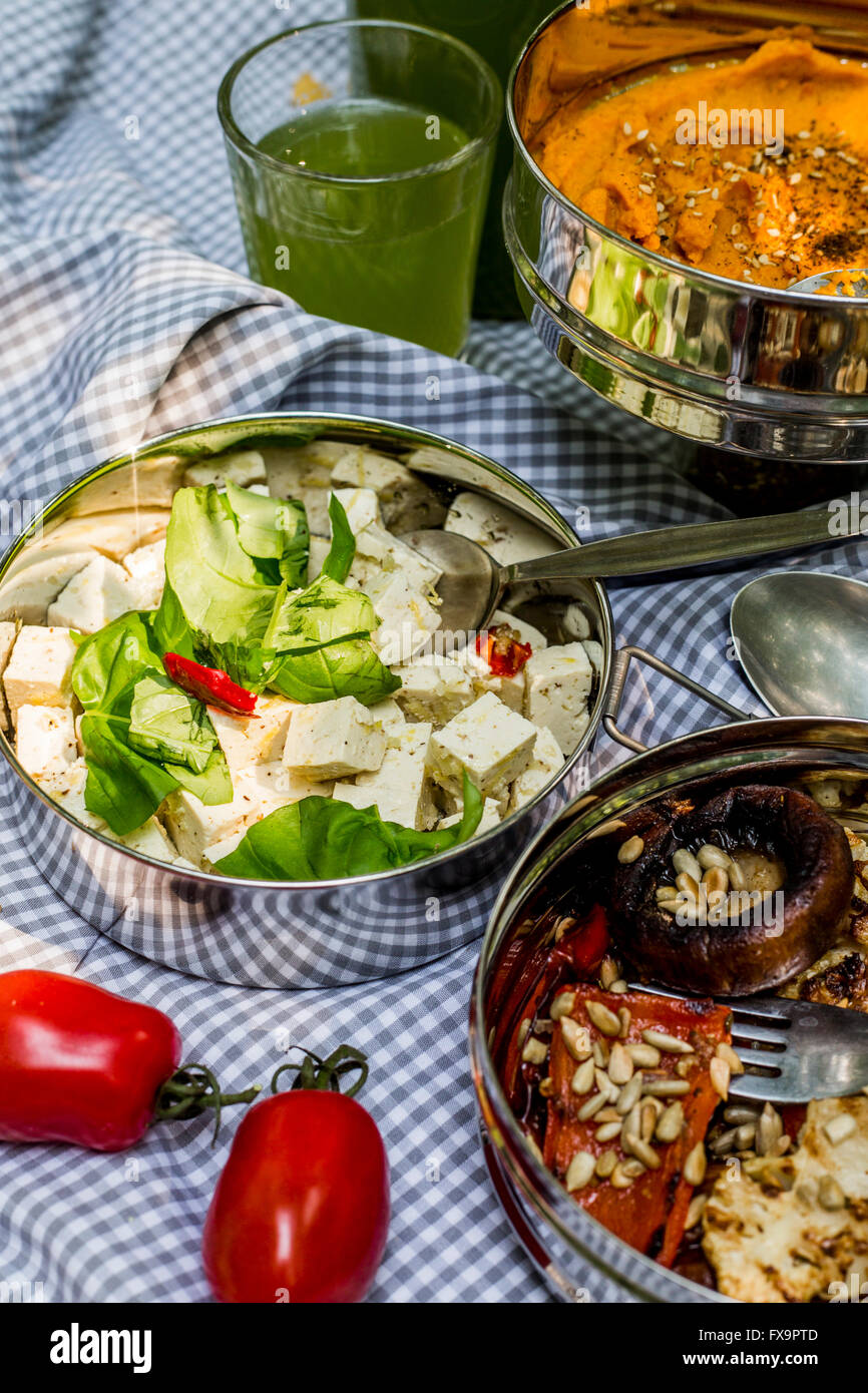 Arrosto di verdure, carota hummus, e tofu con erbe in acciaio il pranzo nelle caselle sulla coperta picnic Foto Stock