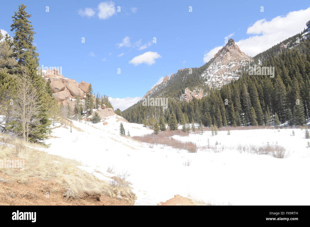 Pike National Forest/le balze Foto Stock