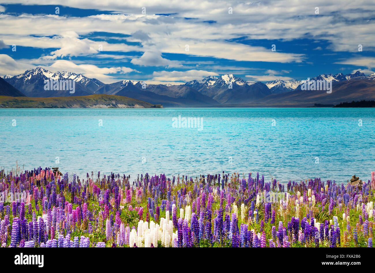 Lago Tekapo, Isola del Sud, Nuova Zelanda Foto Stock