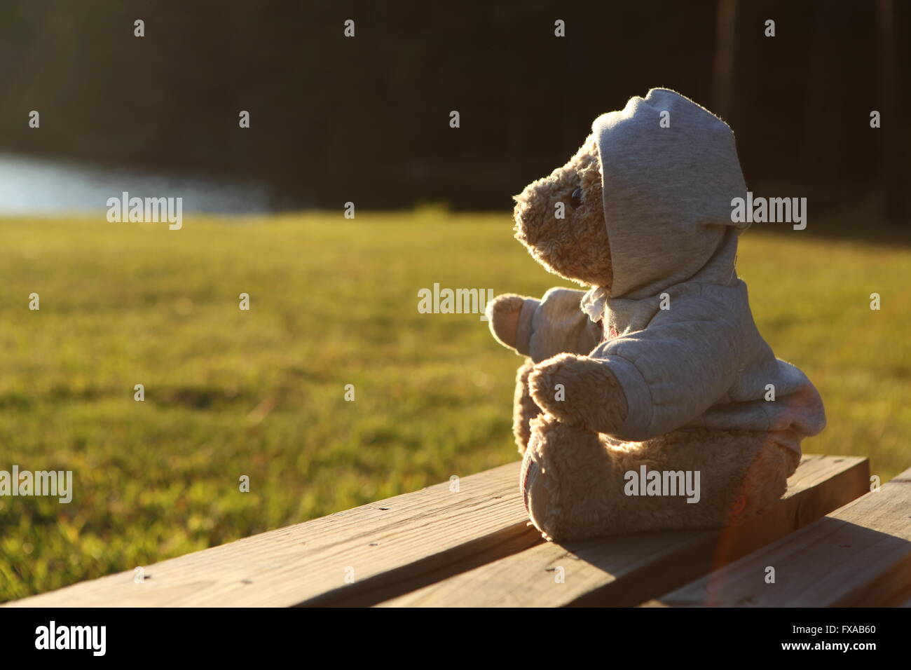 Orsacchiotto di peluche al tramonto Foto Stock