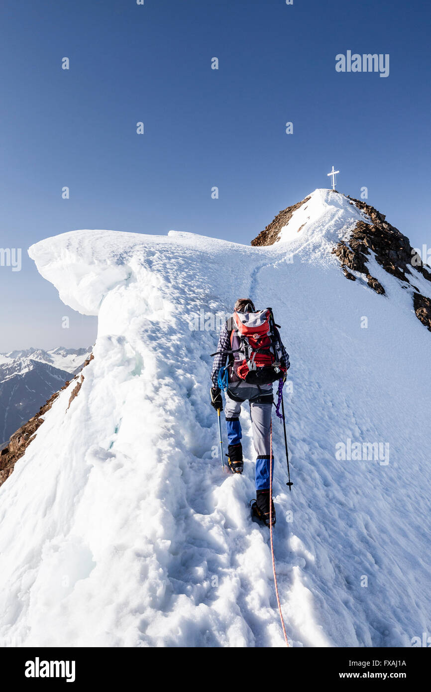 Alpinista in arrampicata la neve sulla Wildspitze sulla cresta del vertice con il cornicione di neve, di sfiato, Soelden's Oetztal Oetztal Alpi Foto Stock