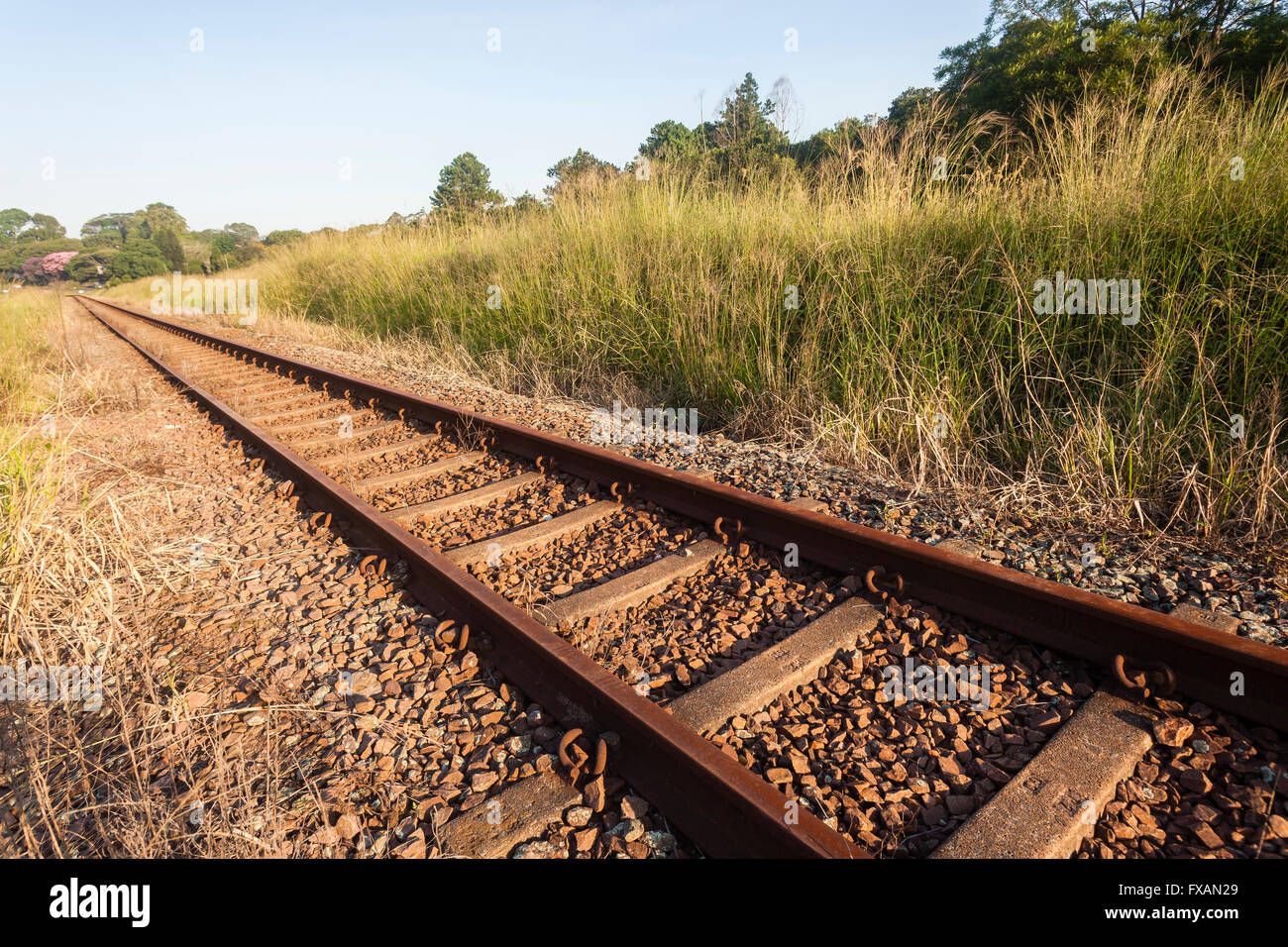Stazione ferroviaria linea singola le cingolature in acciaio closeup dettaglio in campagna. Foto Stock