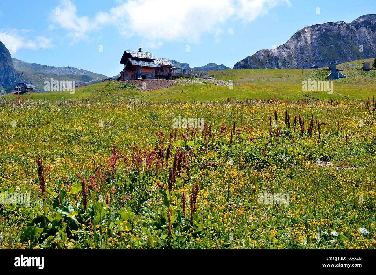 Montagna nelle Alpi francesi nei pressi di La Plagne, comune nella Valle Tarentaise, dipartimento della Savoia e la regione Rhône-Alpes a Francoforte Foto Stock