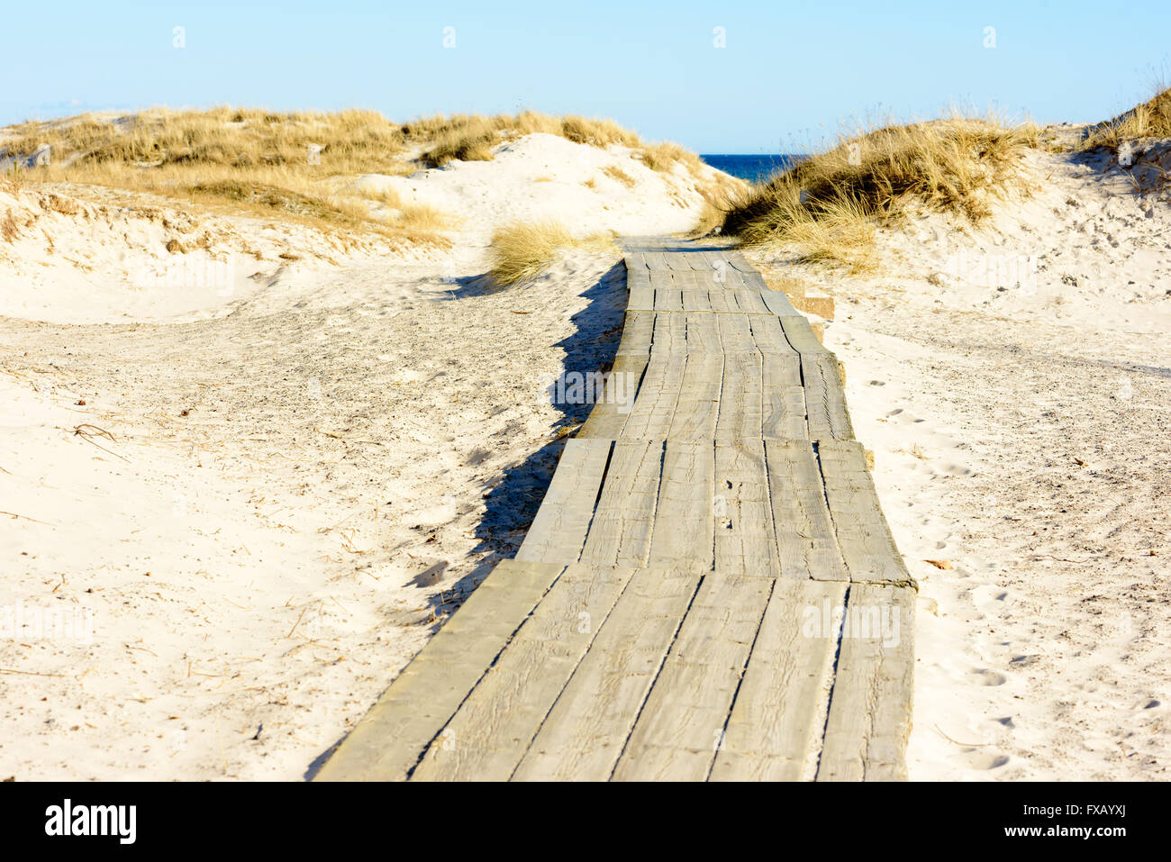 Passerella in legno o sedia a rotelle sentiero sulla spiaggia sabbiosa di andare tra le dune di sabbia verso il mare. Un soleggiato e la bella giornata al bea Foto Stock