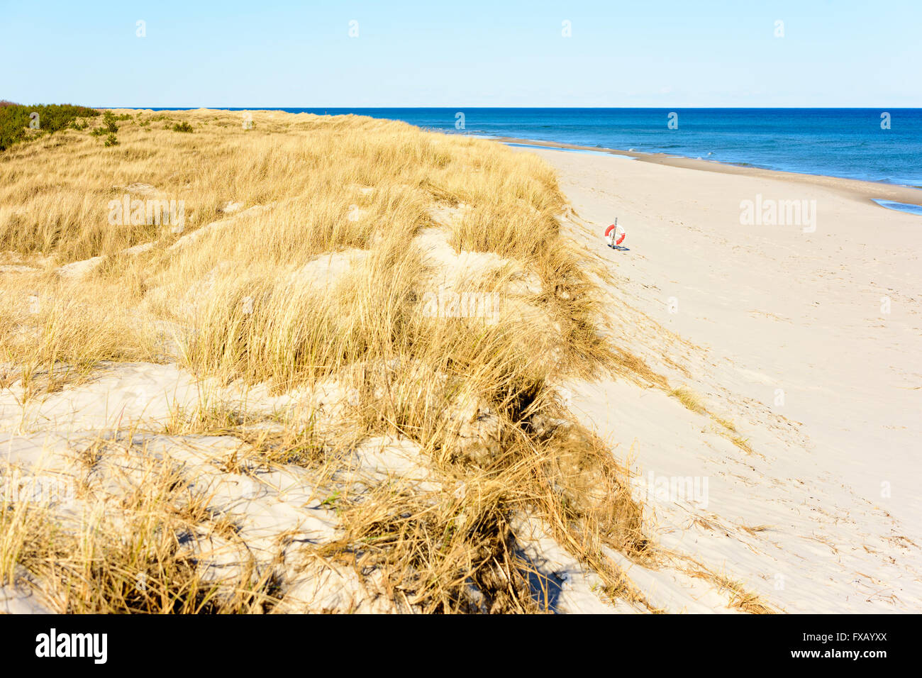 Ricoperto di erba dune di sabbia in riva al mare, trasformando in una bella spiaggia di sabbia con un salvagente con la pendenza. Sandhammaren, Svezia. Foto Stock