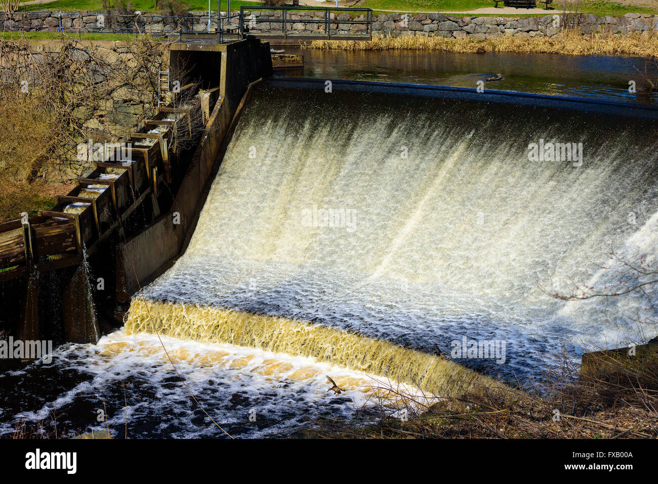 Pesci di legno scala con acqua che scorre accanto a un serbatoio di overflow. Questo consente la migrazione di pesci per navigare gli ostacoli nella principale w Foto Stock