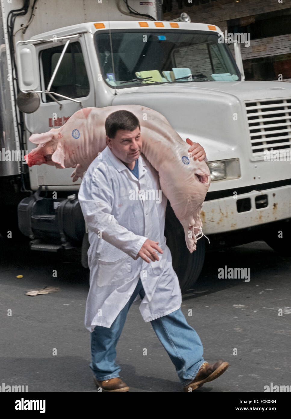 Una consegna carne di uomo che porta un intero maiale per un ristorante cinese sulla Mott Street a Chinatown, New York City Foto Stock