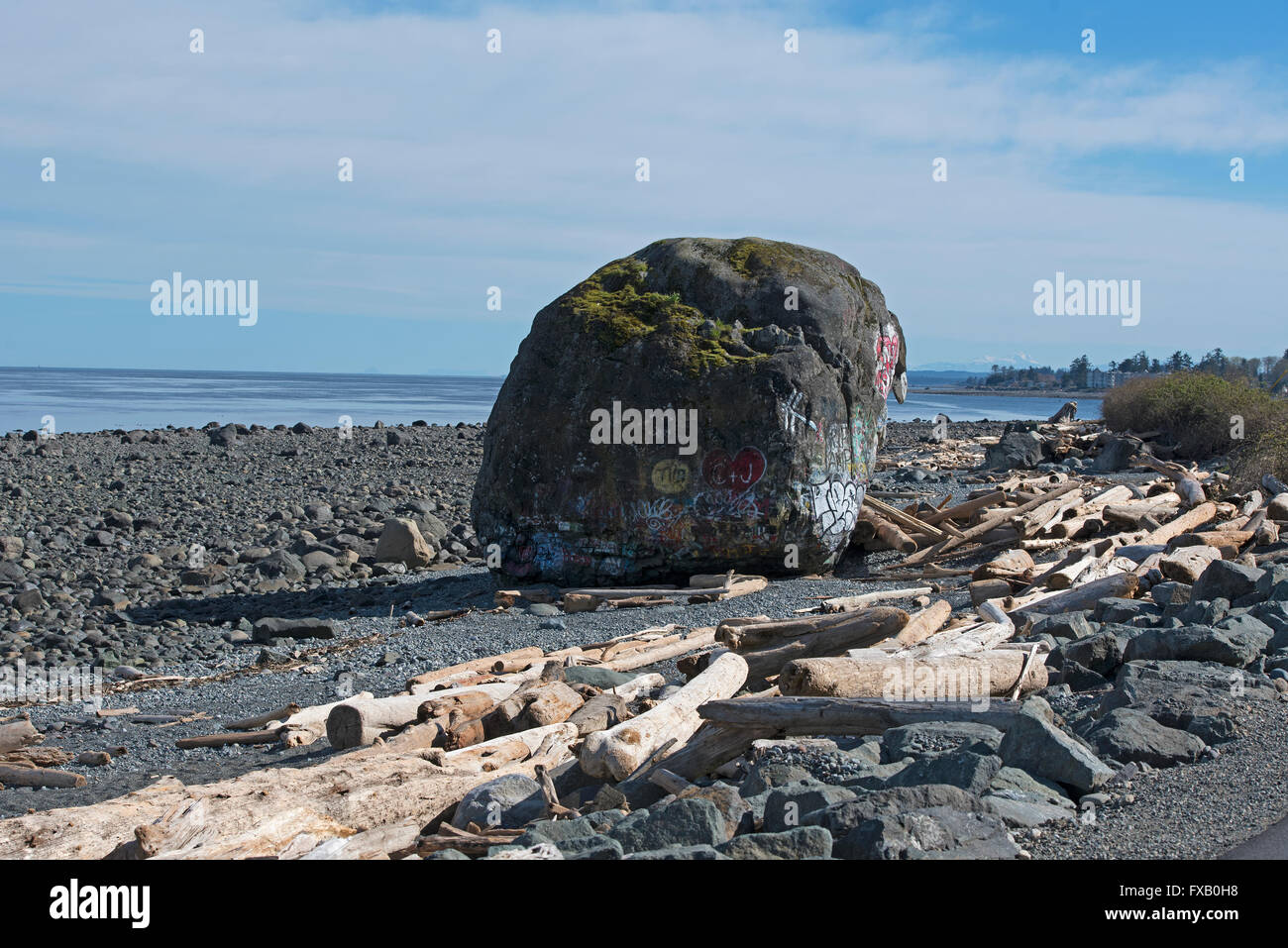 "Big Rock' Campbell River, stretto di Georgia, l'isola di Vancouver BC Geological Ice Age reliquia, verniciato colorato. SCO 10,311 Foto Stock