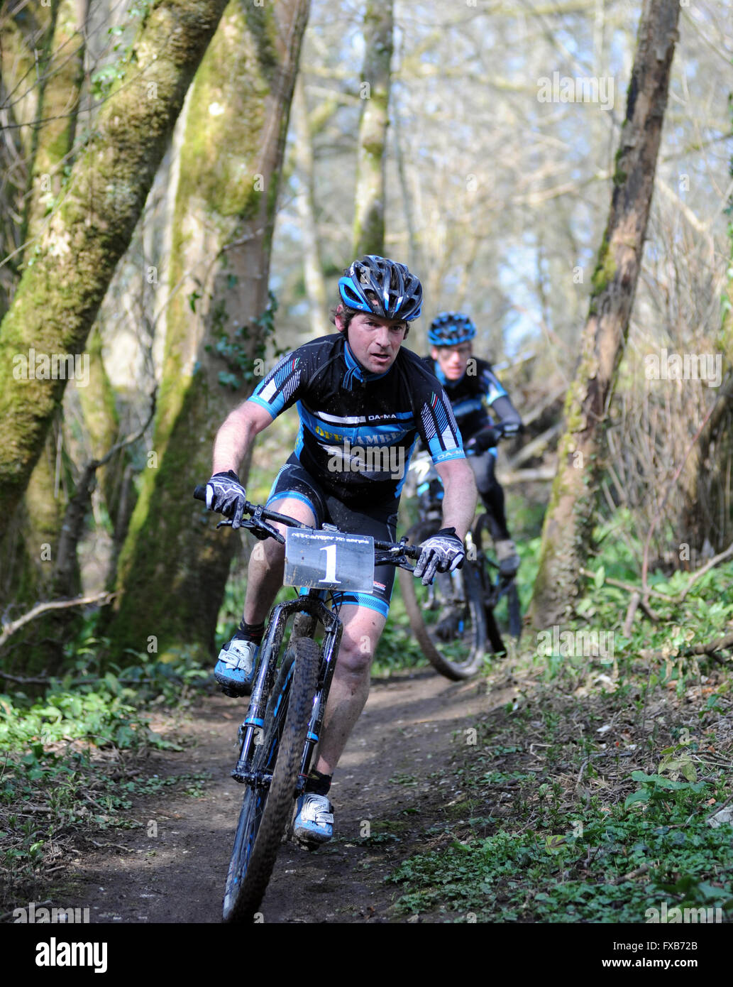 Blandford, Dorset, Regno Unito, 13 marzo 2016. Off Camber serie XC. Andy Parsons (1) è inseguito dal Decano di gelo (2) attraverso la foresta duri Foto Stock