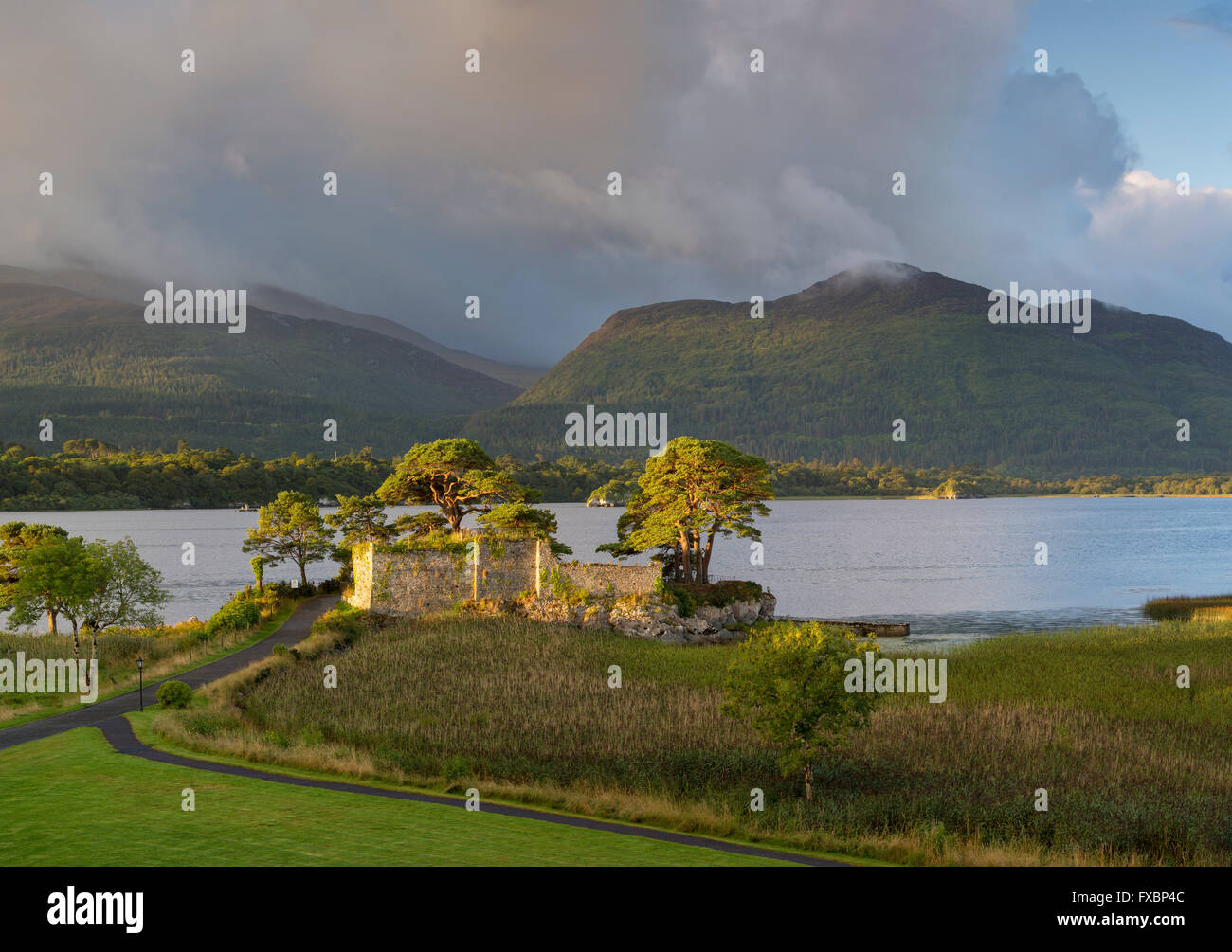 Sunrise over McCarthy Mor Castello lungo il Lough Leane, Parco Nazionale di Killarney, nella contea di Kerry, Irlanda Foto Stock