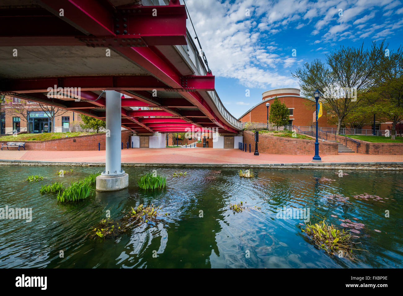 Moderno ponte a Carroll Creek parco lineare, in Frederick, Maryland. Foto Stock