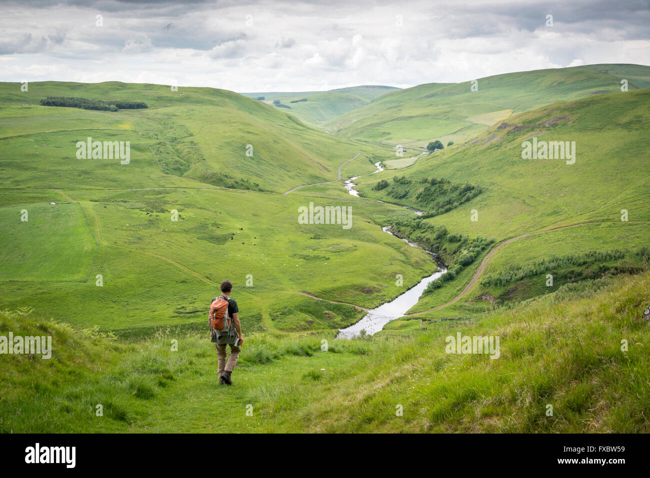 Passeggiate nella valle Coquet, Northumberland Foto Stock