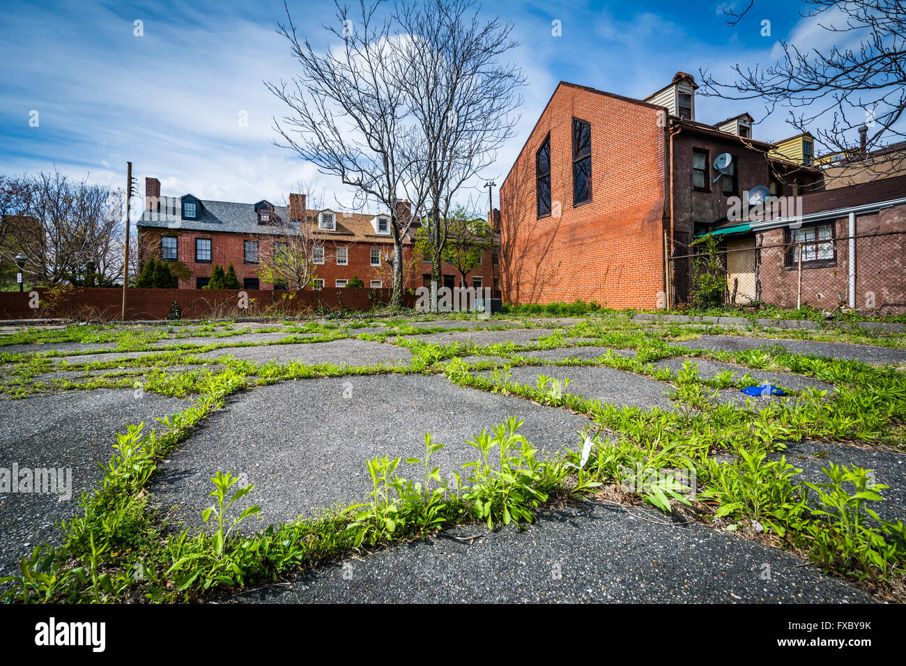 Le erbe e gli edifici abbandonati di Baltimora, Maryland. Foto Stock