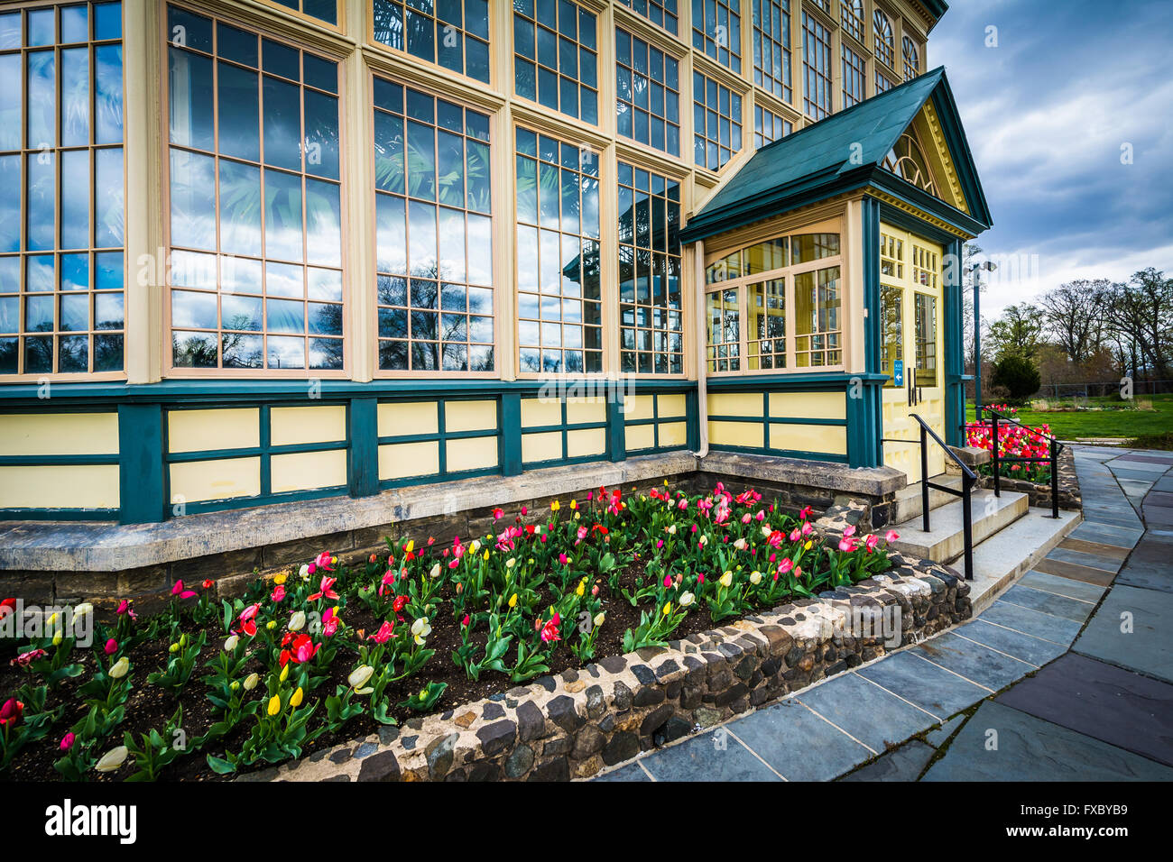 Tulipani e Howard Peters Rawlings Conservatorio a Druid Hill Park, a Baltimora, Maryland. Foto Stock
