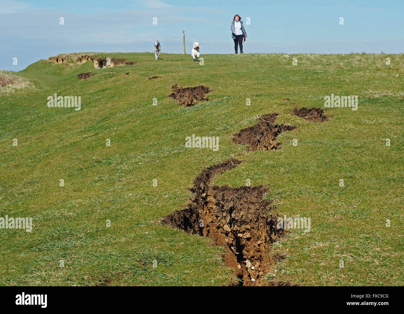 Terra slittamento su scogliere a Weymouth Dorset, Regno Unito Foto Stock