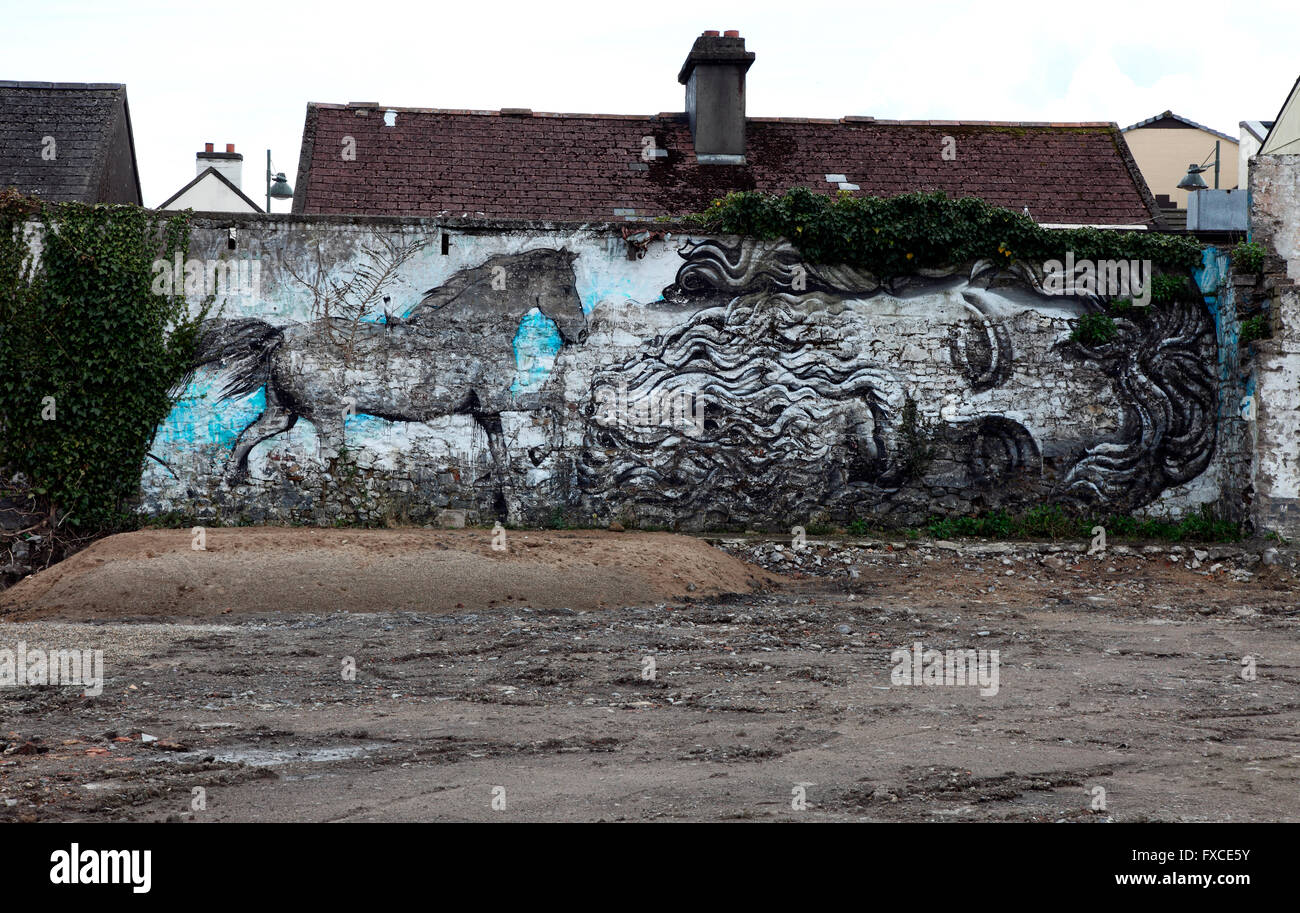 Wasteground graffiti Limerick Foto Stock