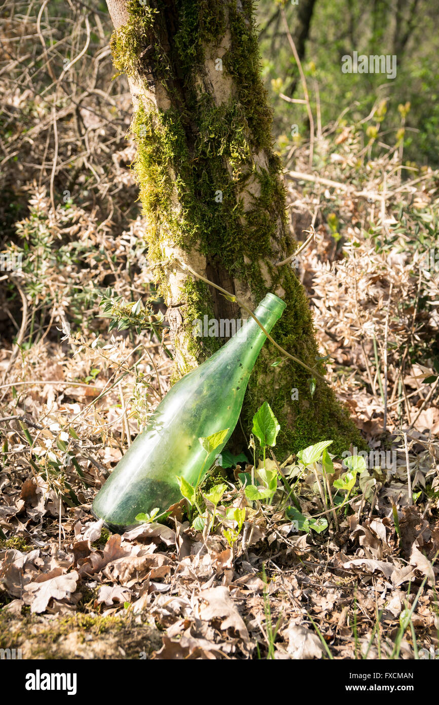 Bottiglia in vetro verde abbandonato nel sottobosco. Foto Stock