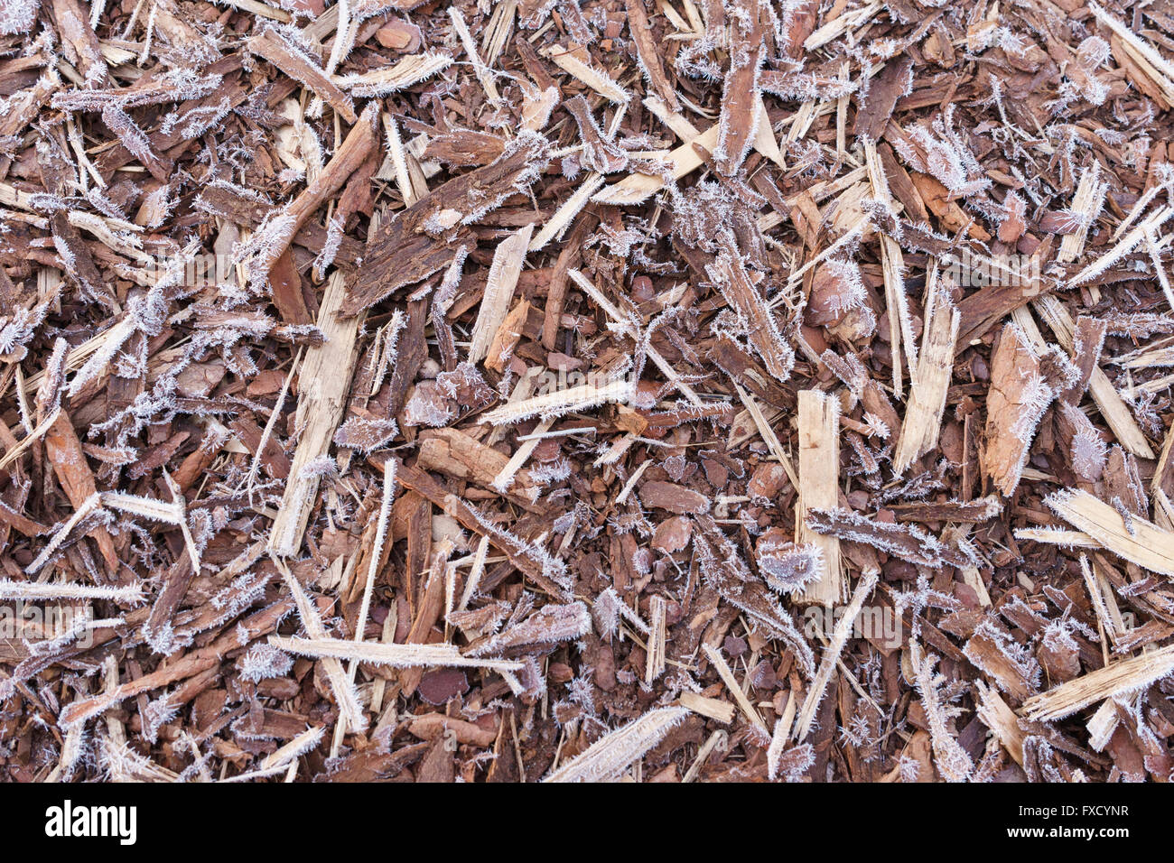Corteccia naturale utilizzato come un suolo coperto da rime, dalla vista di cui sopra Foto Stock