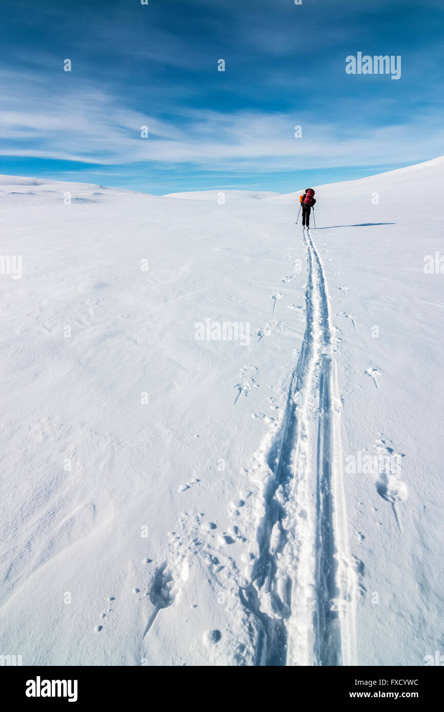 Lo sci attraverso l'artico Foto Stock