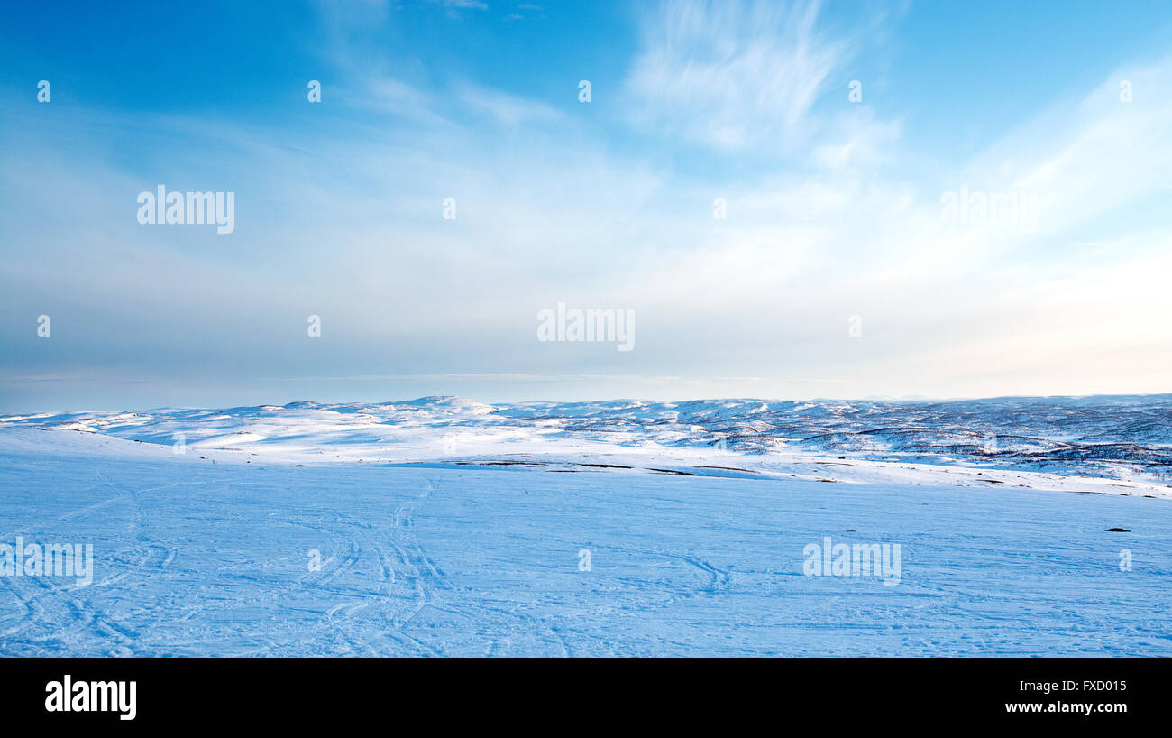 La molla nella tundra. Regione polare. La regione di Murmansk Foto Stock