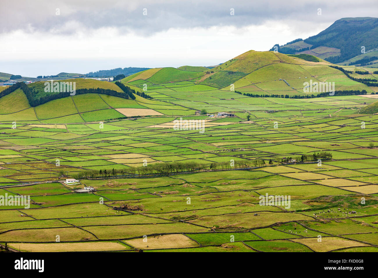 Patchwork paesaggio, isola Terceira, portoghese per la regione autonoma delle Azzorre Foto Stock