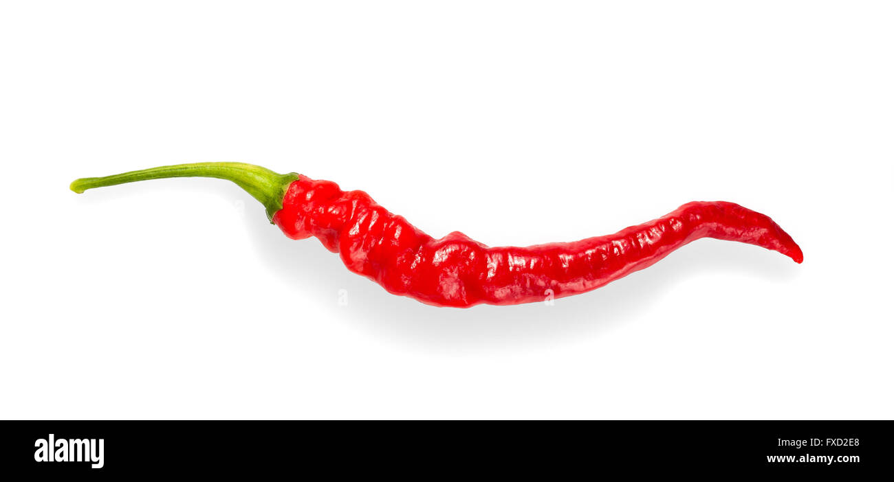 Hot Pepper isolato su bianco Foto Stock