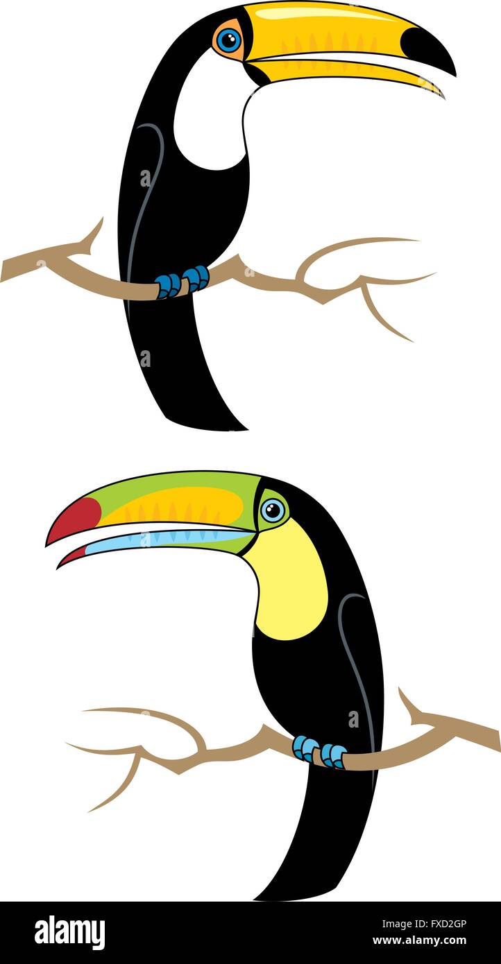 2 razze di tucani. Illustrazione Vettoriale