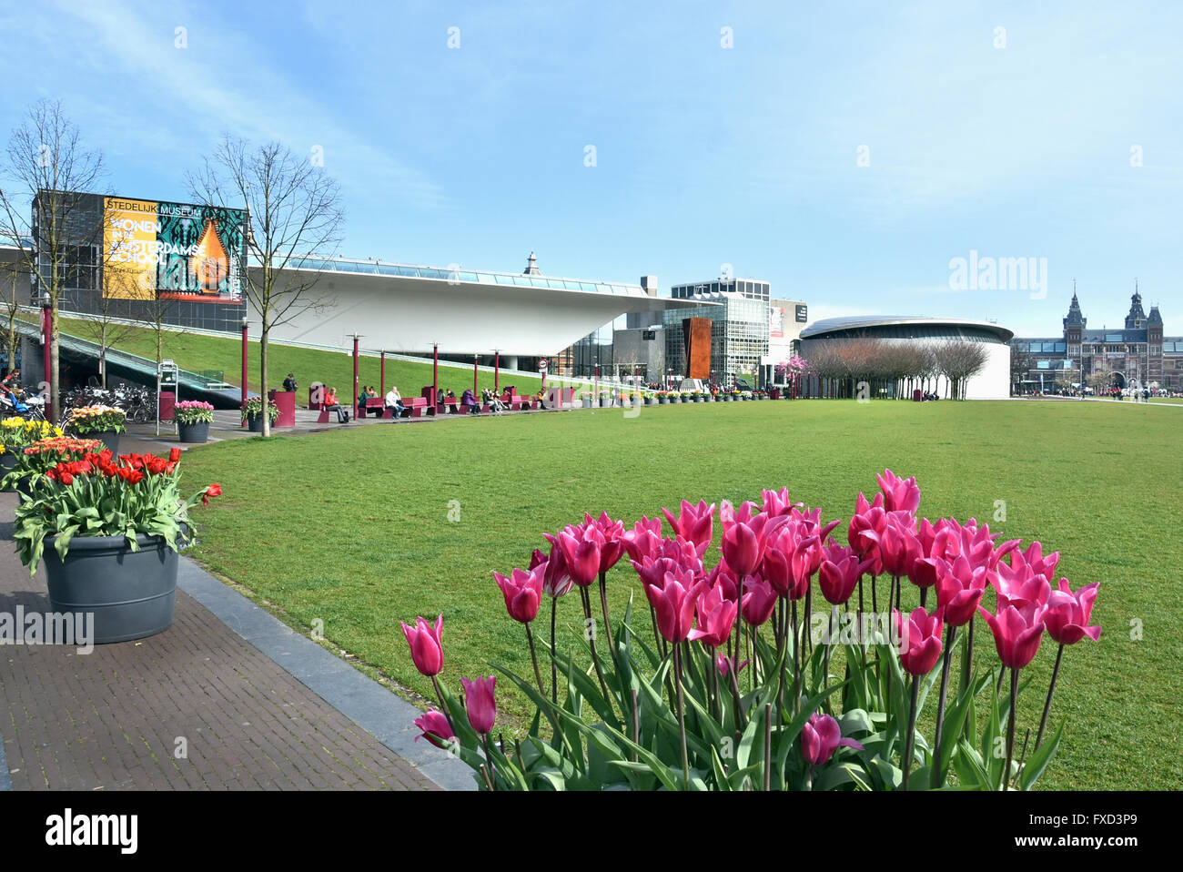 Rosa Rosso tulipani Museo Stedelijk e il Museo Van Gogh Museumplein (Museum Square) Amsterdam Paesi Bassi Foto Stock