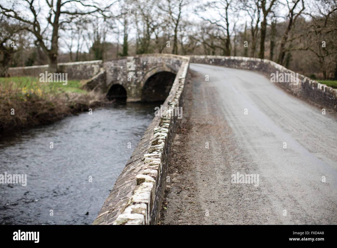 Vecchia strada di pietra ponte su un fiume gallese. Foto Stock