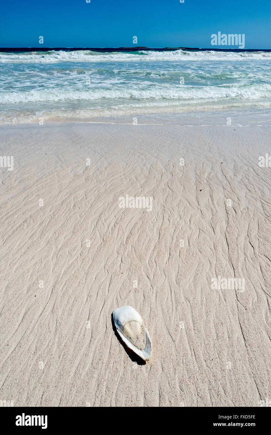 Coral Beach, Cervantes vicino a Perth WA Foto Stock