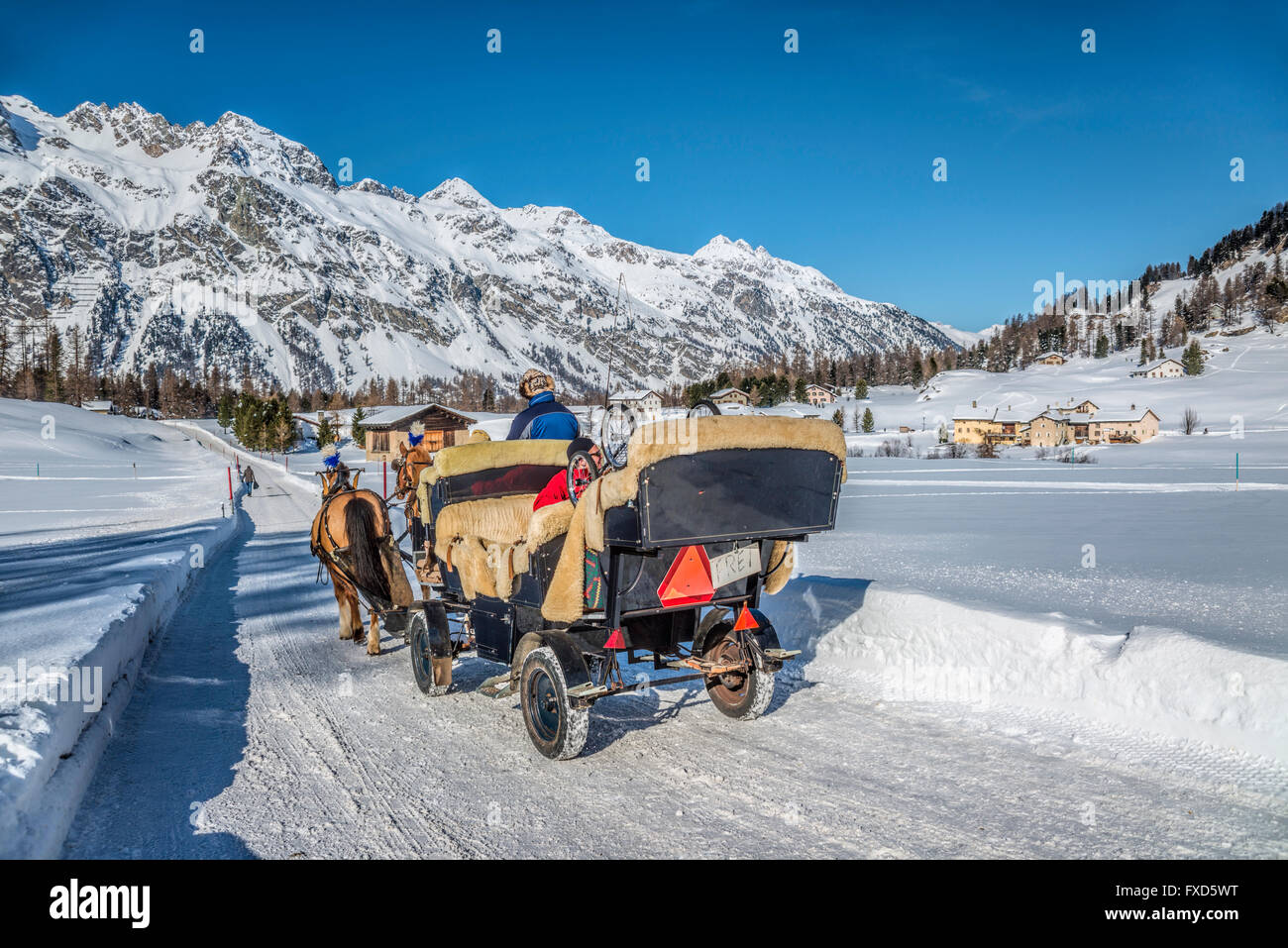 Svizzera, Sils Maria, slitta in Val Fex contro un panorama del pittoresco villaggio Foto Stock