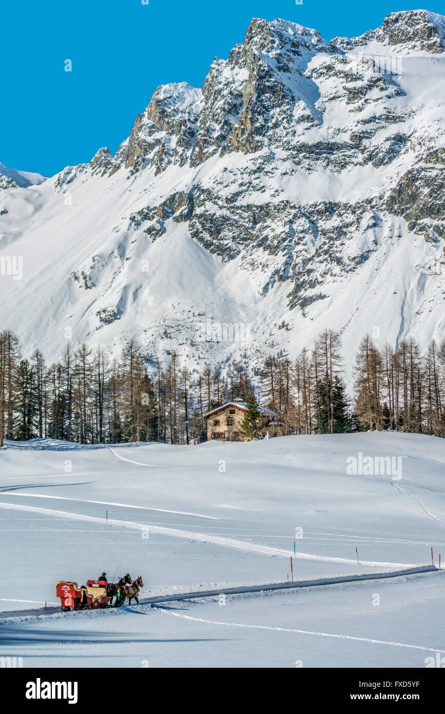 Svizzera, Sils Maria, slitta in Val Fex contro un panorama del pittoresco villaggio Foto Stock