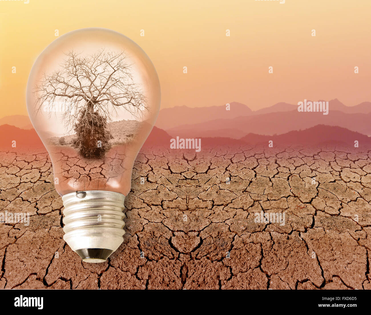 Dead albero secco in una lampadina. sulla siccità la pelle secca e il cielo di colore arancione in estate. concetto in materia di uso di energia Foto Stock