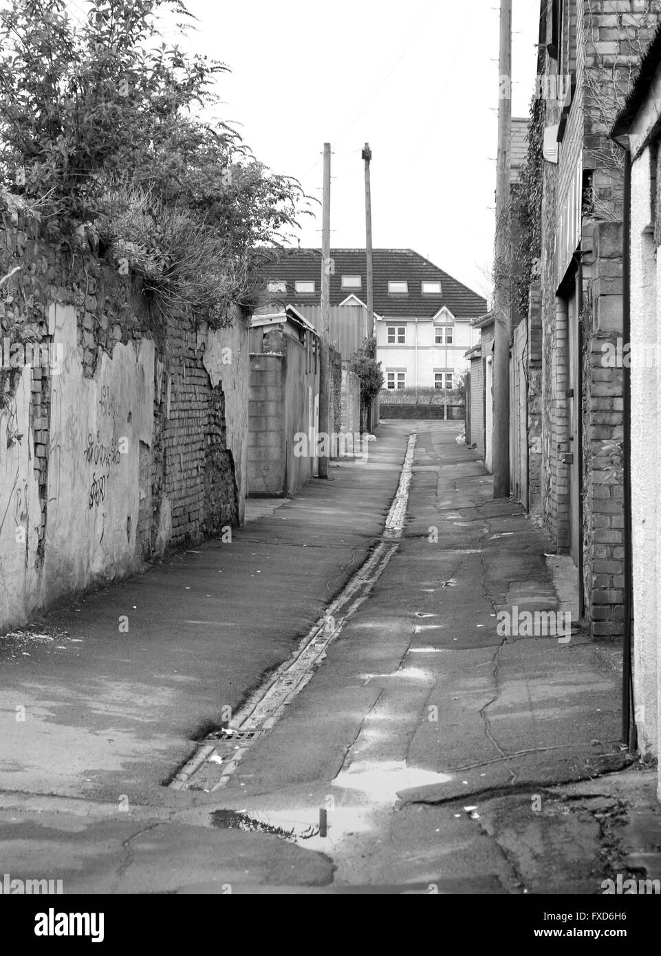 Pulire ma molto stretta back lane dietro negozi e case della città gallese di Cardiff Foto Stock Pulire ma molto stretta back lane dietro negozi e case della città gallese di Cardiff Foto Stock