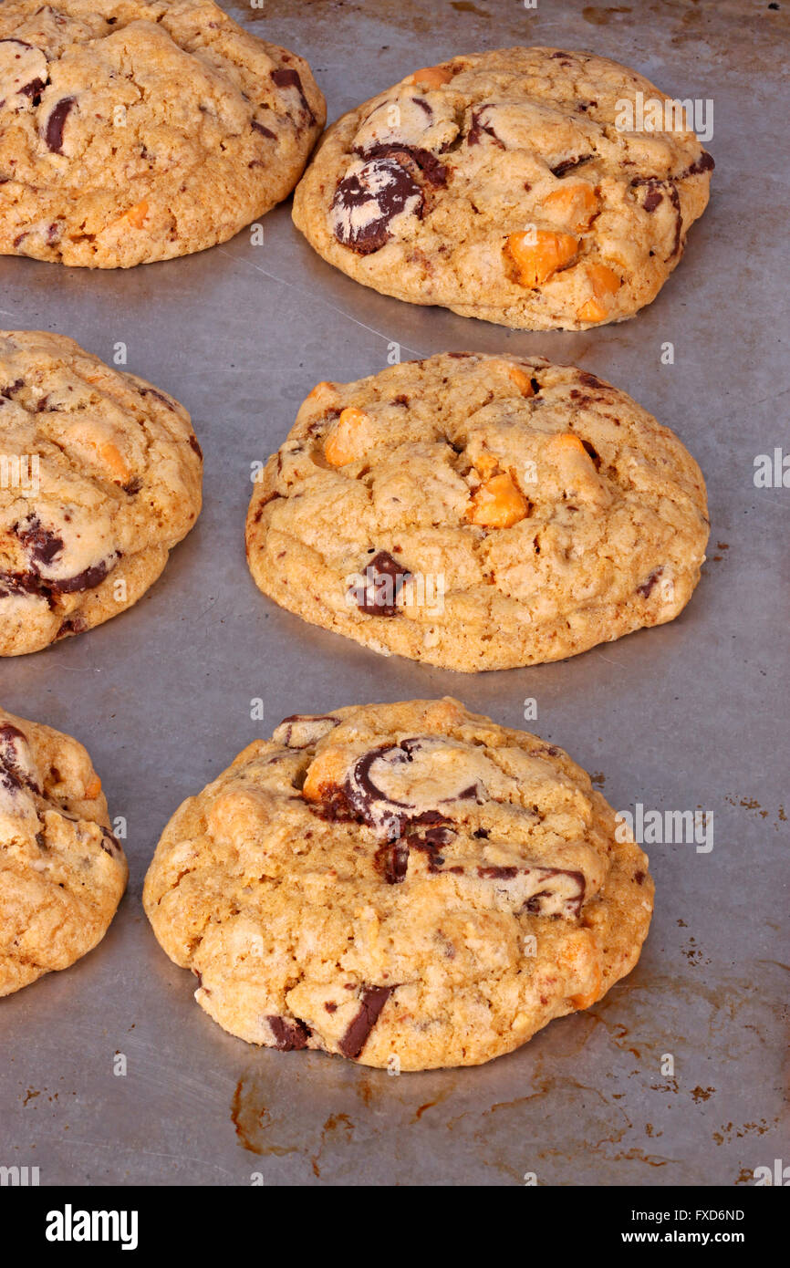 Home-cotto al cioccolato e toffee chip cookie avena ancora sulla pentola fresco di forno verticale Foto Stock