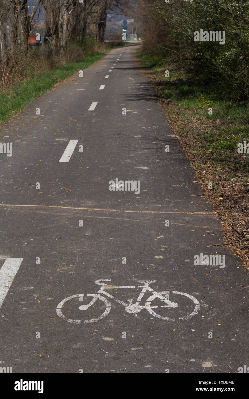 Strada per biciclette realizzato di asfalto con un segno di biciclette. La natura intorno a. Foto Stock