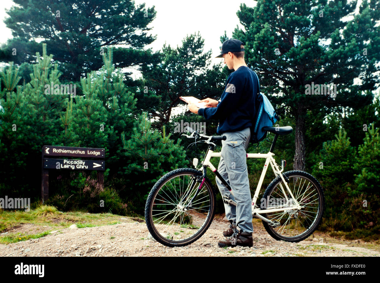 Adolescente guardando una mappa su un sentiero nei Cairngorms, Aviemore,Scozia, Regno Unito. Foto Stock