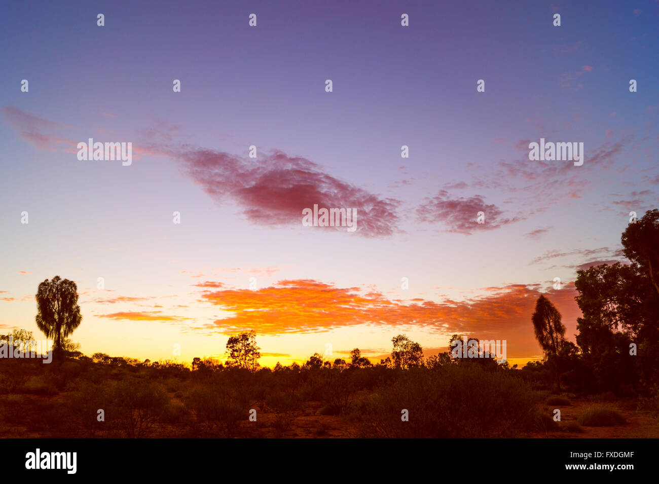 Australia, tramonto, outback Foto Stock