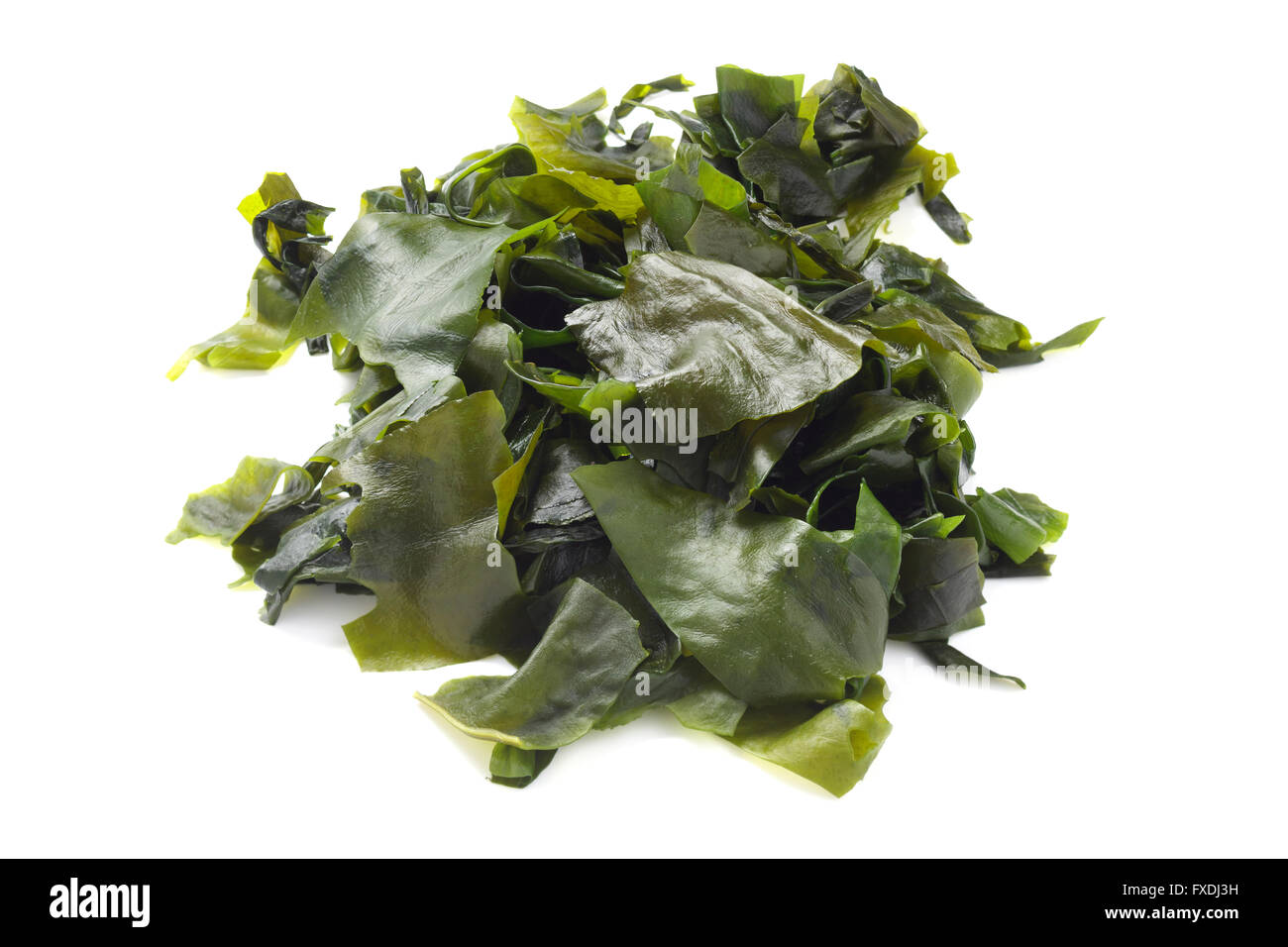 Alga wakame Foto Stock