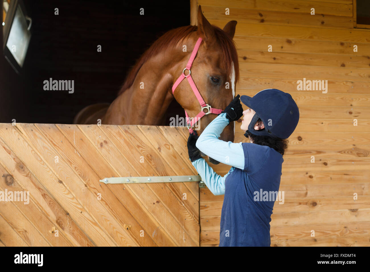 Rider la connessione marrone con il cavallo in una stalla Foto Stock