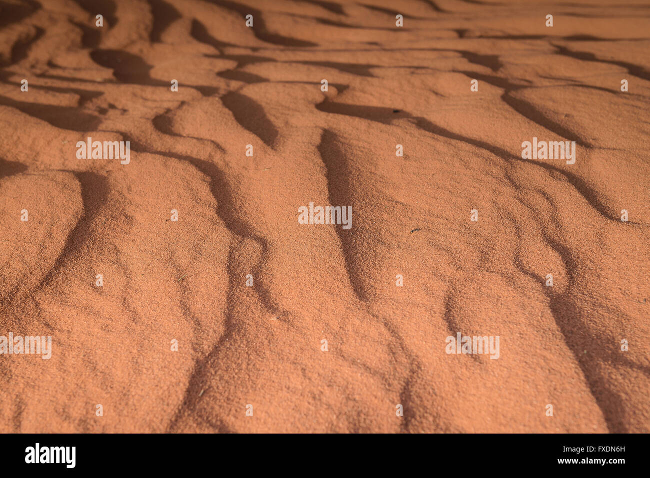 Ondata di deserto di sabbia dopo l'erosione di vento, deserto dell'Arizona, Monument Valley Foto Stock