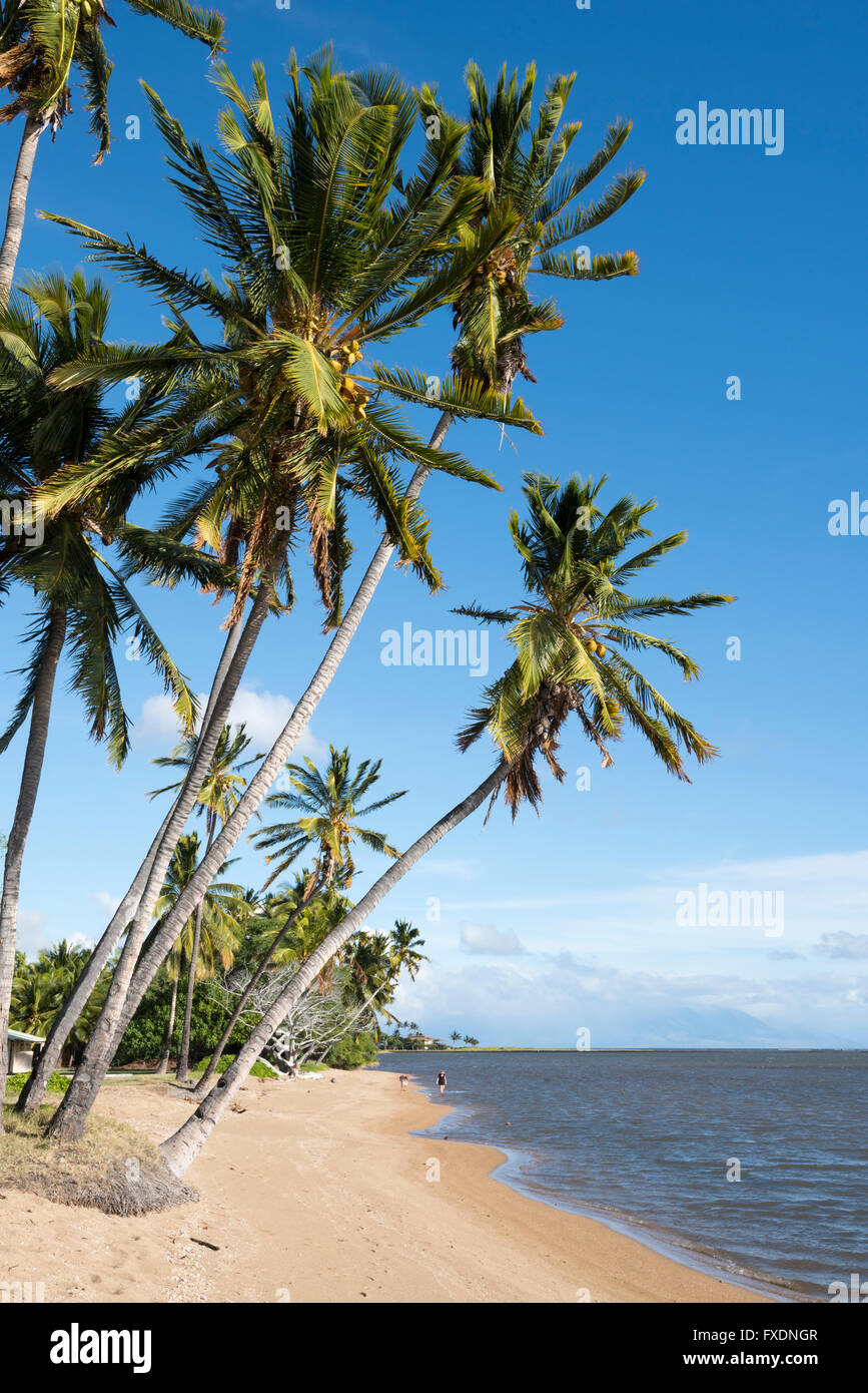 Stati Uniti d'America, Hawaii, Molokai, south shore beach Foto Stock